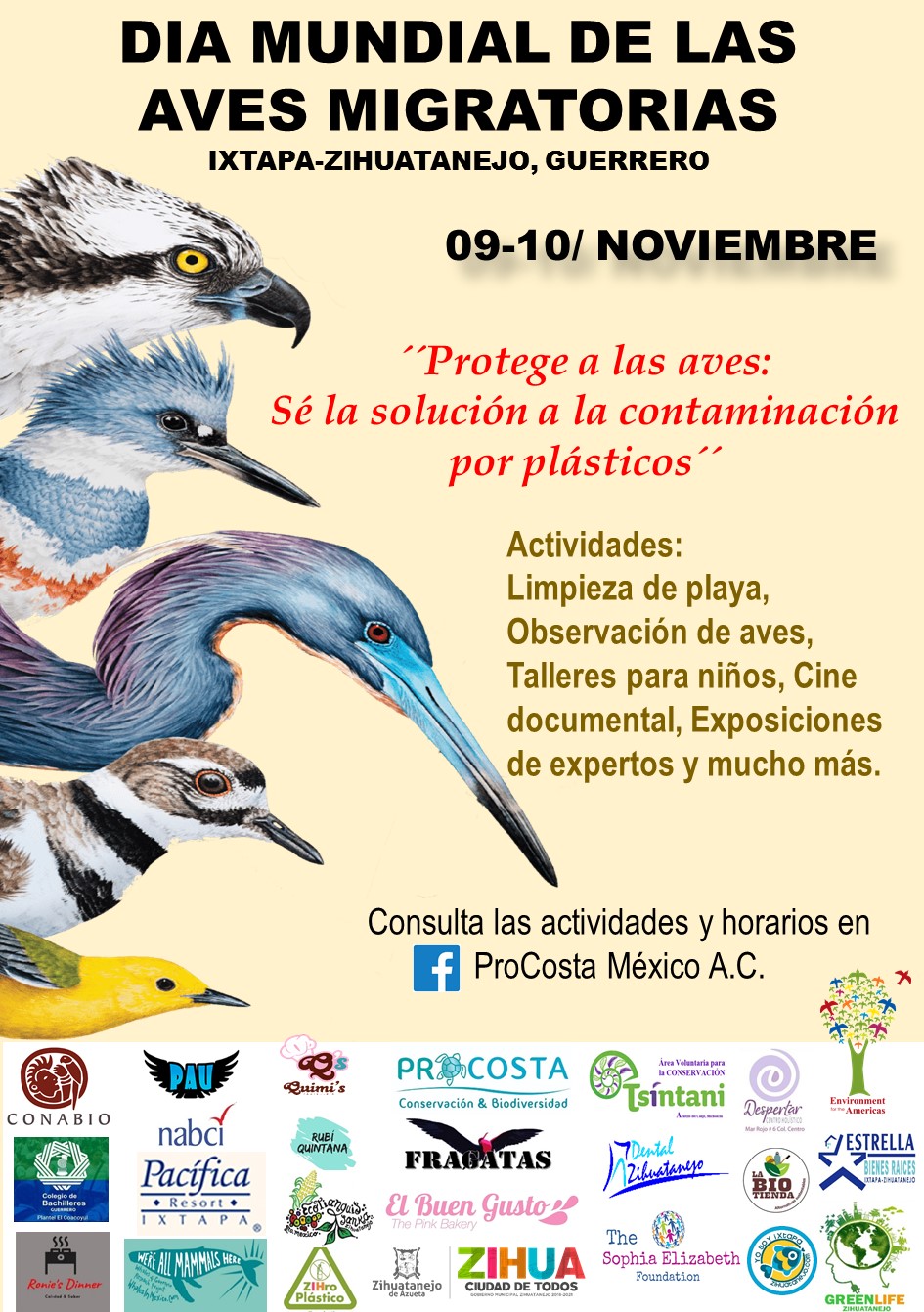 Día Mundial de las Aves Migratorias de Ixtapa Zihuatanejo World